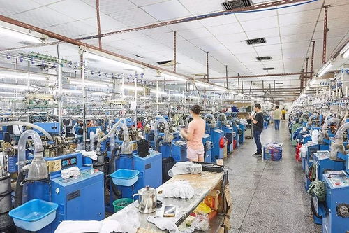 襪子的誕生 揭開泰昂運動襪生產的神秘面紗