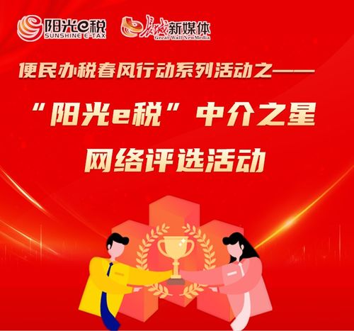 邢臺市 陽光e稅 中介之星網(wǎng)絡(luò)評選活動邀您參與
