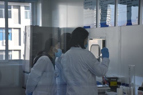 聚焦技術(shù)前沿 保障舌尖安全——河南省畜產(chǎn)品質(zhì)量安全技術(shù)研究院創(chuàng)新發(fā)展研討會(huì)在河南牧業(yè)經(jīng)濟(jì)學(xué)院召開(kāi)